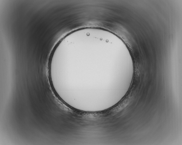 X0000108480950200904091434