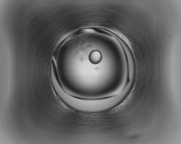 X0000108480953200904091434
