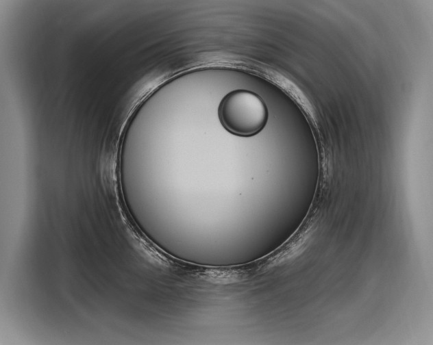 X0000108480954200904091435