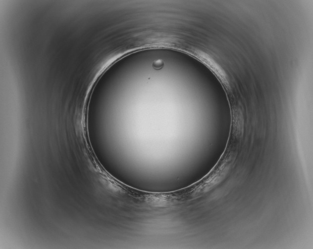 X0000108480956200904091435