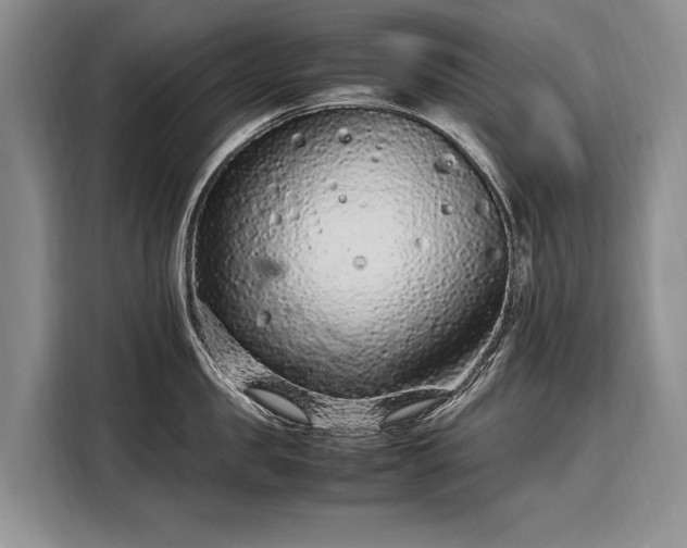 X0000108480957200904091435