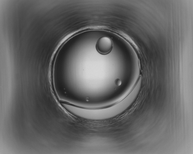 X0000108480959200904091435