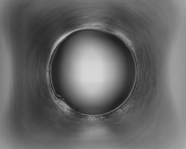X0000108480960200904091435