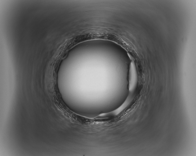 X0000108480961200904091434