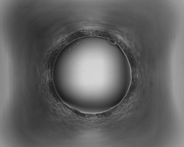 X0000108480965200904091434