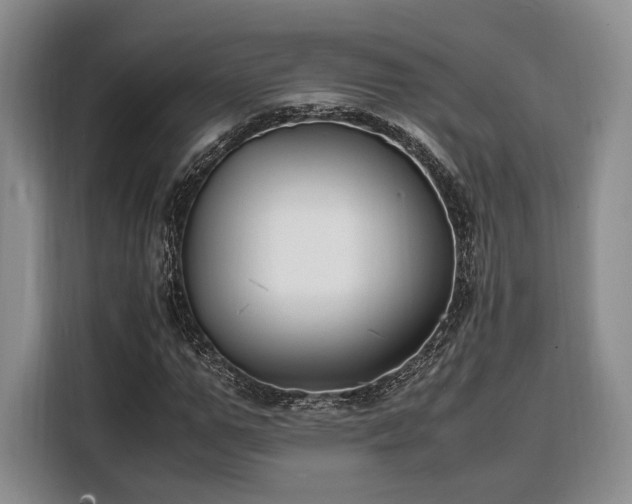 X0000108480967200904091434