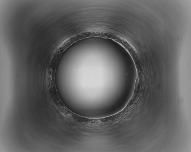 X0000108480968200904091434