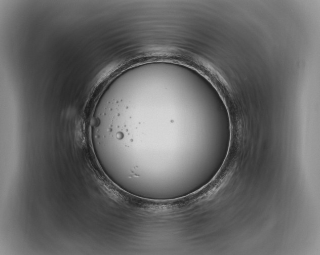 X0000108480970200904091434