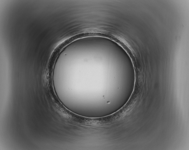 X0000108480971200904091434