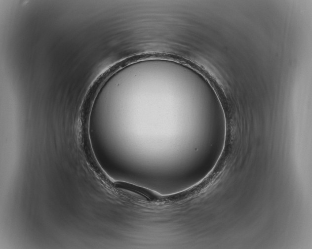 X0000108480975200904091434