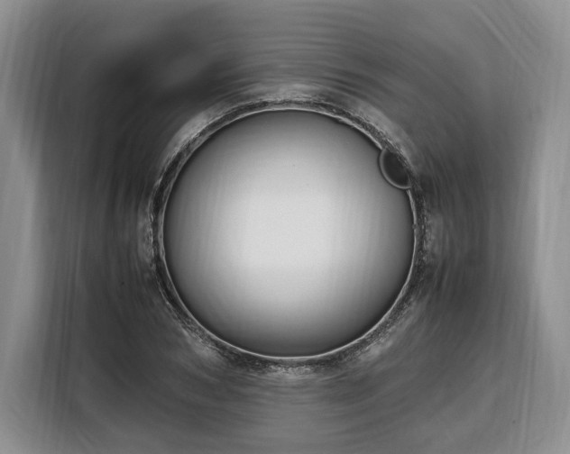 X0000108480978200904091434