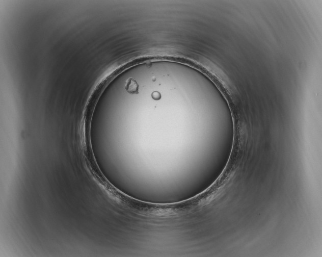 X0000108480982200904091434