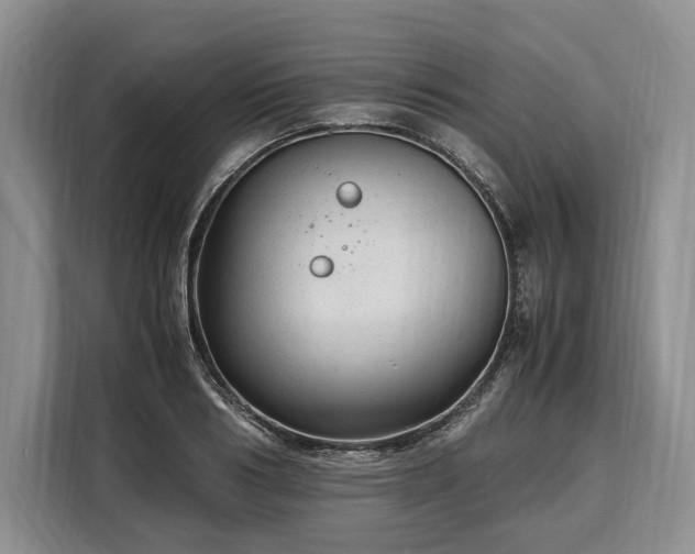 X0000108480986200904091434