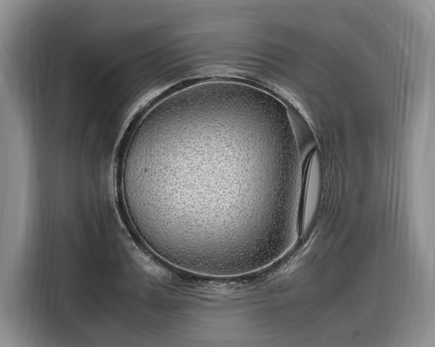 X0000108480987200904091434