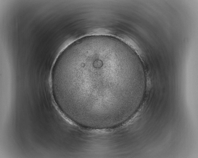 X0000108480990200904091434