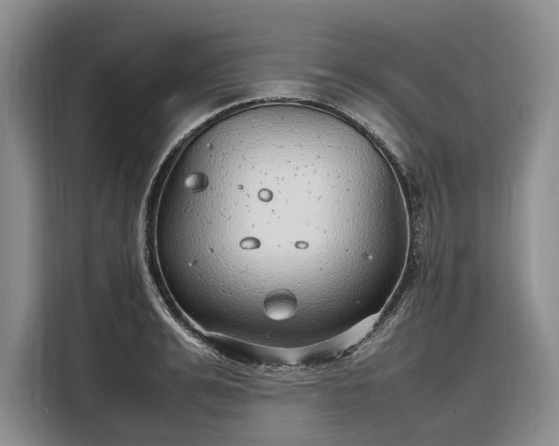 X0000108480991200904091434
