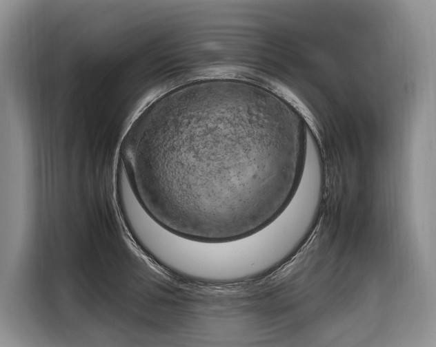 X0000108480994200904091434