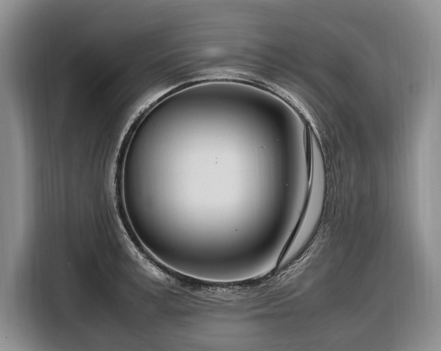 X0000108480995200904091434