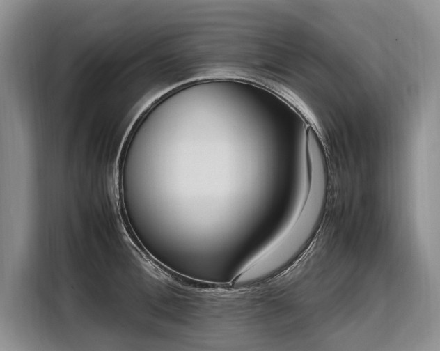 X0000108480996200904091434
