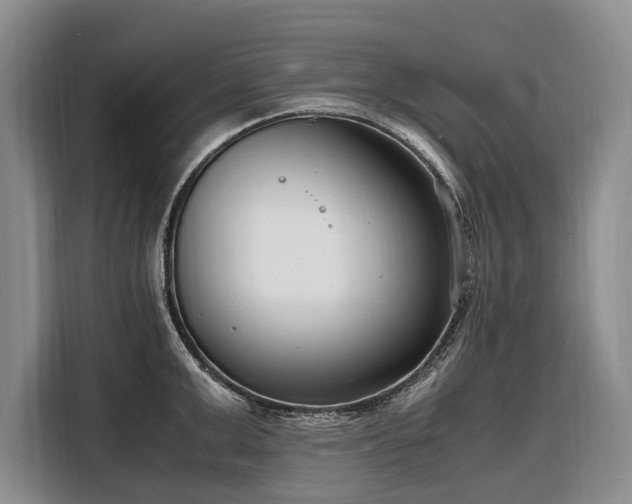X0000108480999200904091433