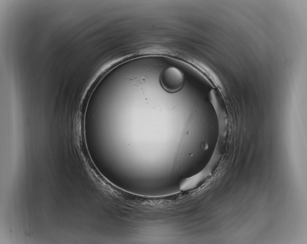 X0000108481000200904091433
