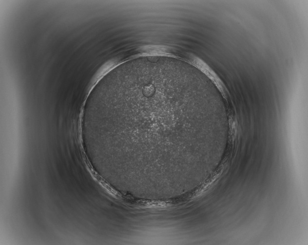 X0000108481002200904091433