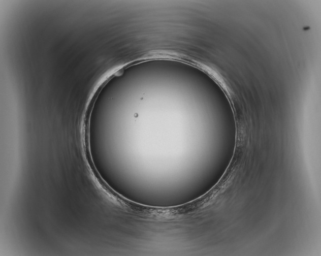 X0000108481003200904091433