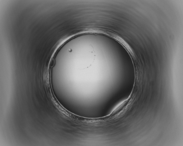 X0000108481004200904091433