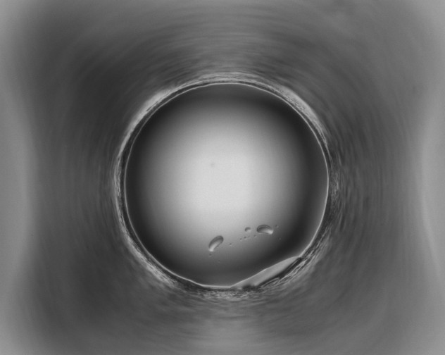 X0000108481005200904091433