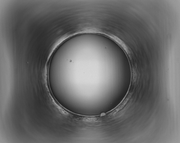 X0000108481006200904091433