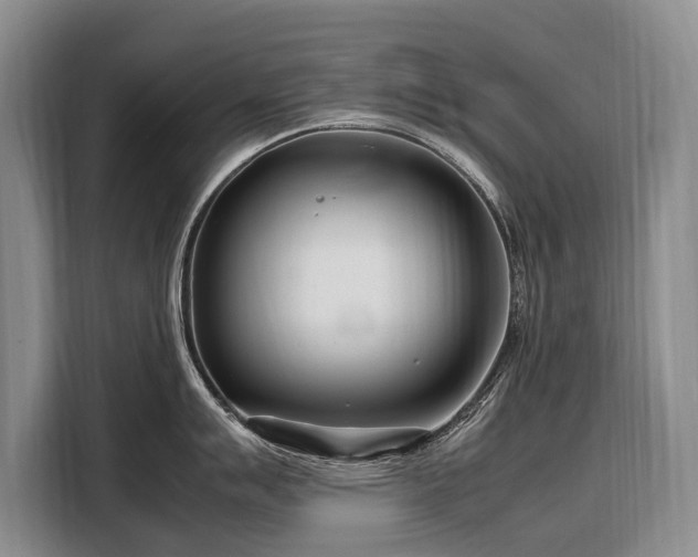 X0000108481007200904091433