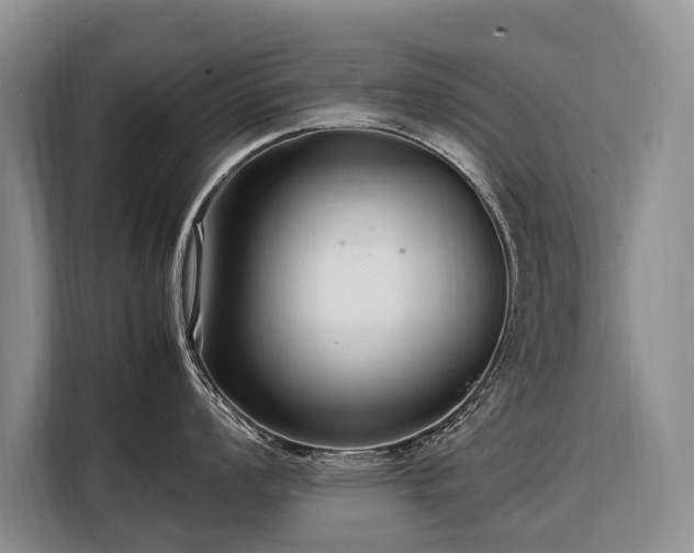X0000108481008200904091433