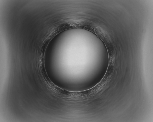 X0000108481012200904091433