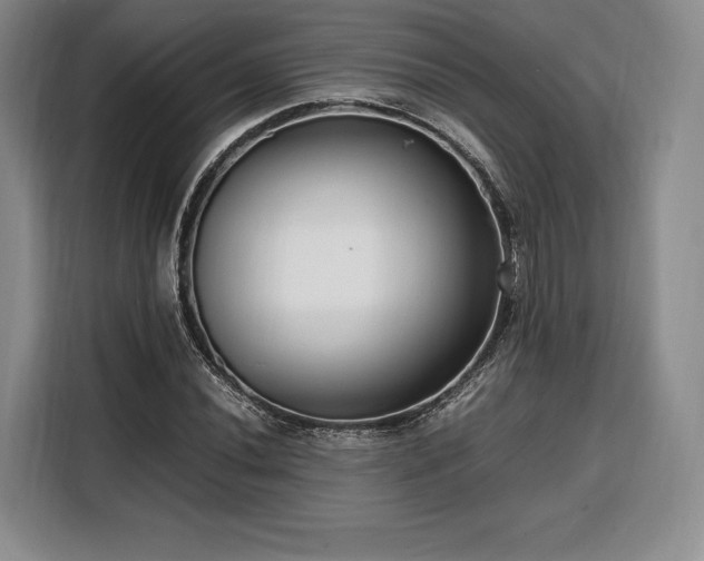 X0000108481020200904091433