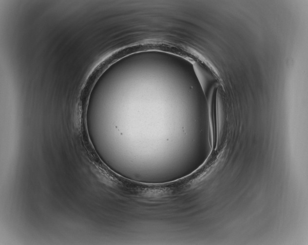 X0000108481021200904091433