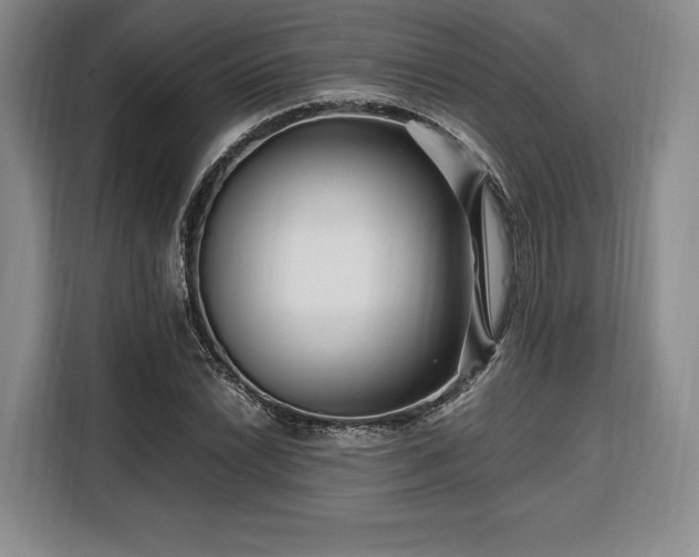 X0000108481022200904091433