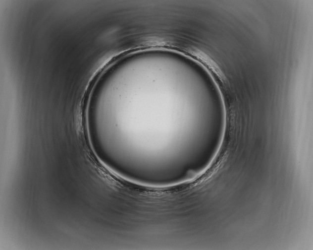 X0000108481023200904091433