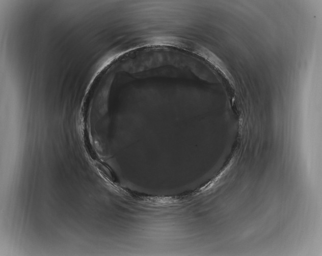 X0000108481024200904091433