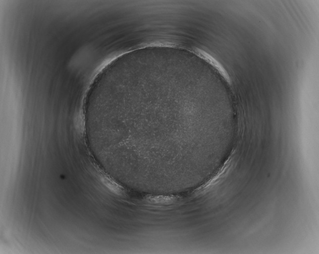 X0000108481027200904091433