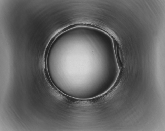 X0000108481028200904091433