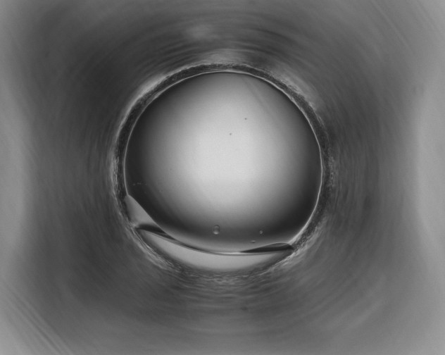 X0000108481029200904091433