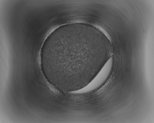 X0000108481031200904091433