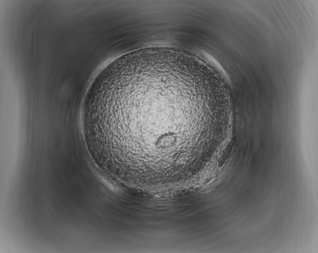 X0000108481035200904091433