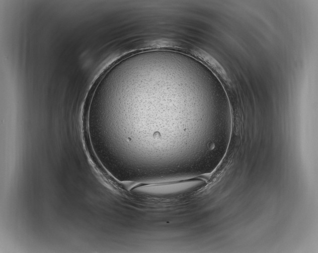 X0000108481039200904091433