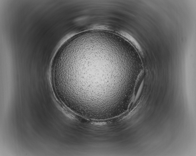 X0000108481043200904091433