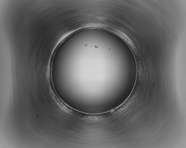 X0000108481044200904091433