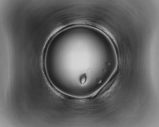 X0000108481045200904091433