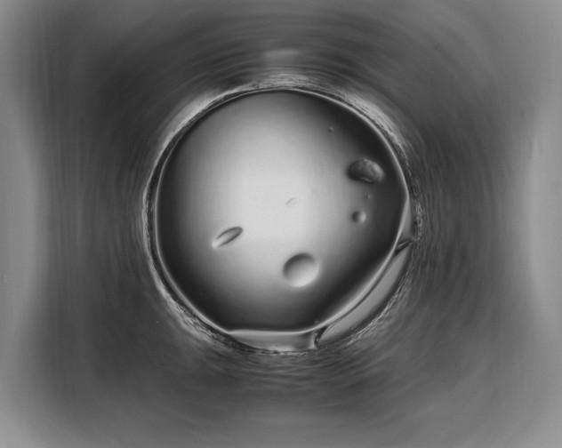 X0000108481047200904091433