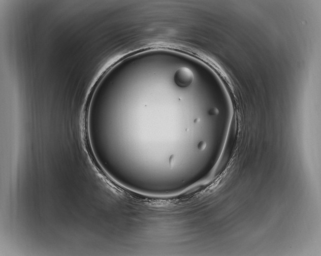 X0000108481048200904091433