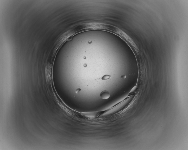X0000108481049200904091433
